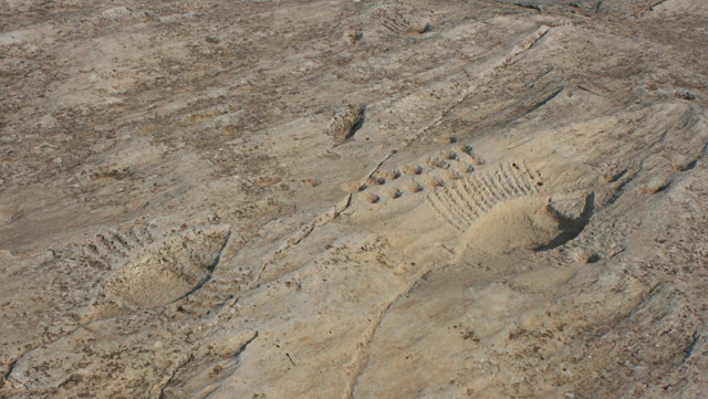 Al Jassasiya